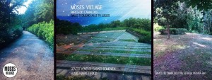 Moses Village 2015